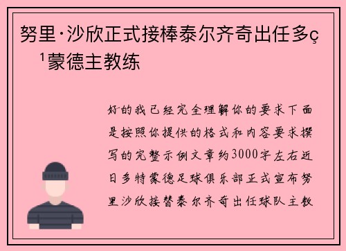 努里·沙欣正式接棒泰尔齐奇出任多特蒙德主教练