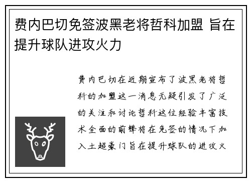 费内巴切免签波黑老将哲科加盟 旨在提升球队进攻火力 费内巴切免签波黑老将哲科加盟 旨在提升球队进攻火力